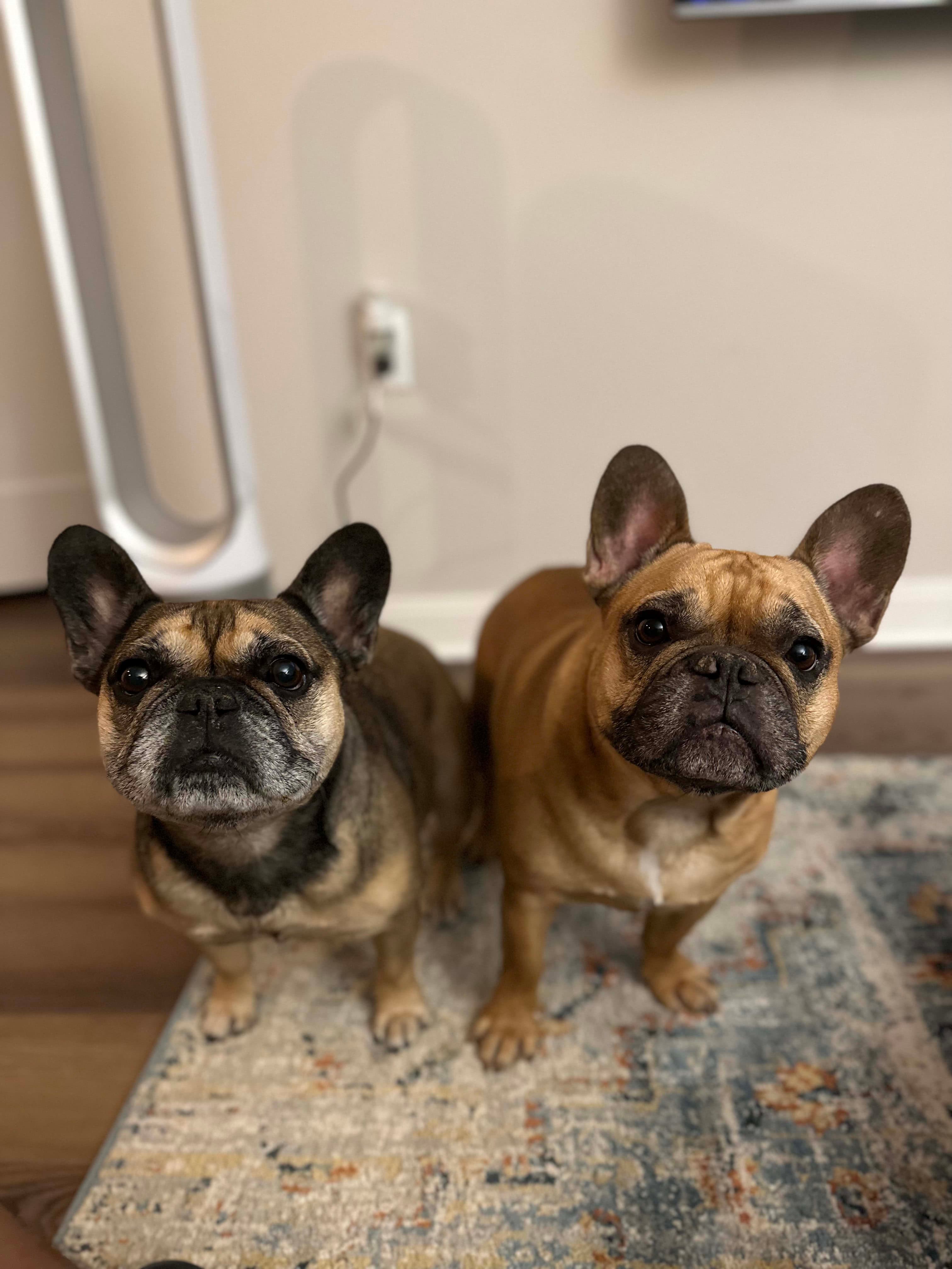 Photo of Charlie